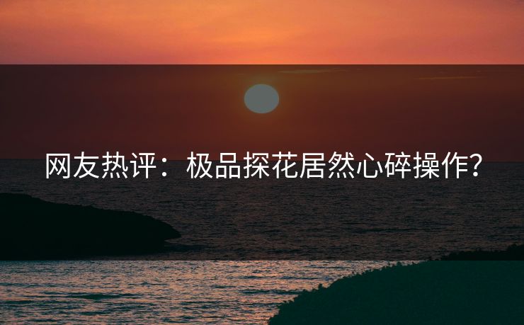 网友热评：极品探花居然心碎操作？