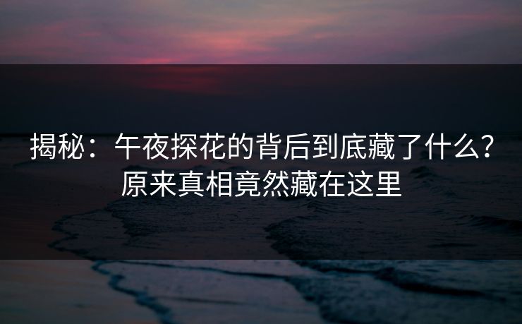 揭秘：午夜探花的背后到底藏了什么？原来真相竟然藏在这里