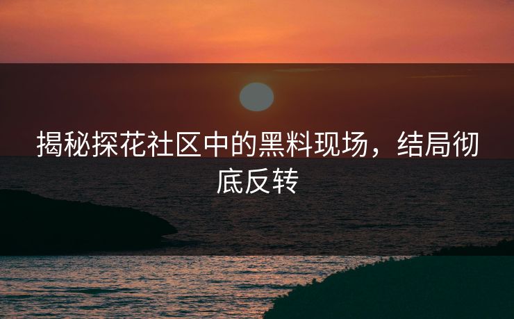 揭秘探花社区中的黑料现场，结局彻底反转