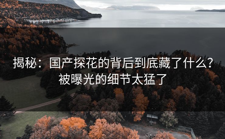 揭秘：国产探花的背后到底藏了什么？被曝光的细节太猛了