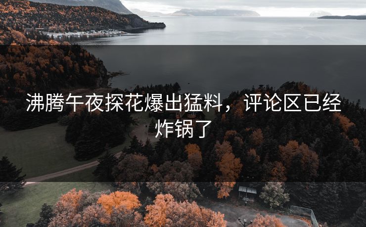沸腾午夜探花爆出猛料，评论区已经炸锅了