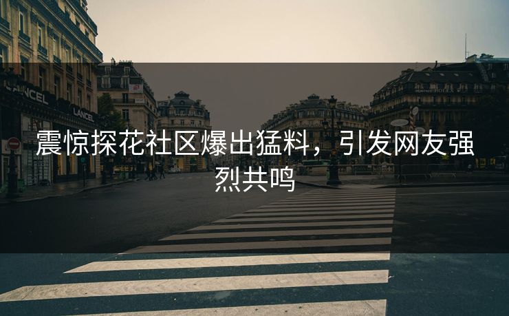 震惊探花社区爆出猛料，引发网友强烈共鸣