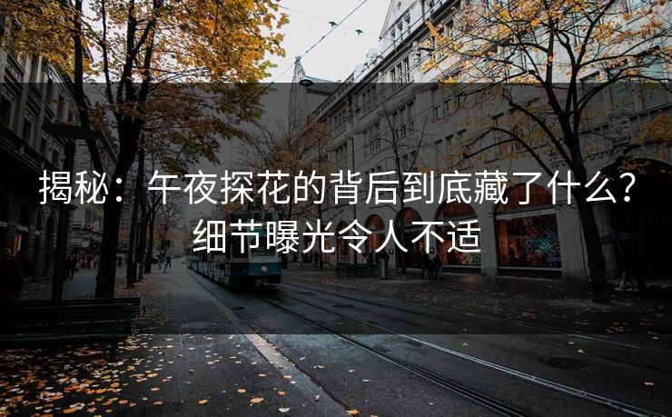 揭秘：午夜探花的背后到底藏了什么？细节曝光令人不适