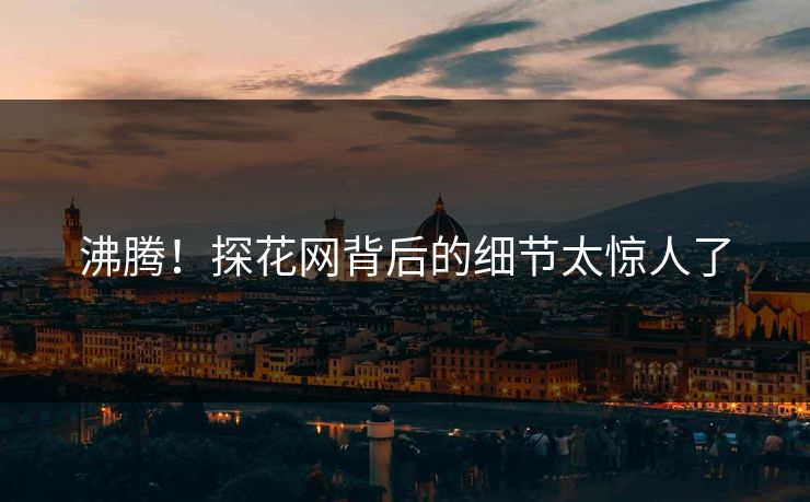 沸腾！探花网背后的细节太惊人了