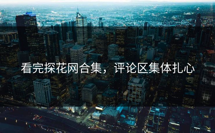 看完探花网合集，评论区集体扎心