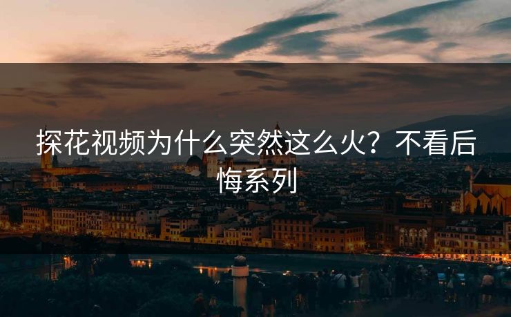 探花视频为什么突然这么火？不看后悔系列