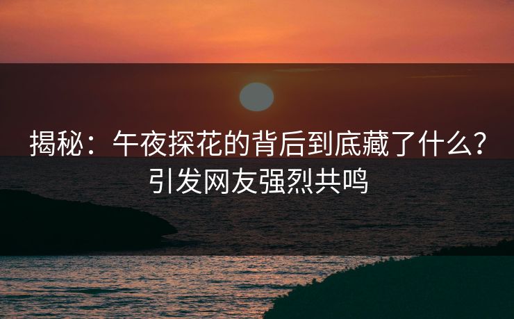 揭秘：午夜探花的背后到底藏了什么？引发网友强烈共鸣