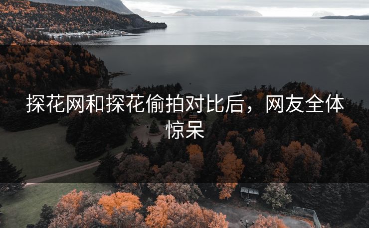 探花网和探花偷拍对比后，网友全体惊呆