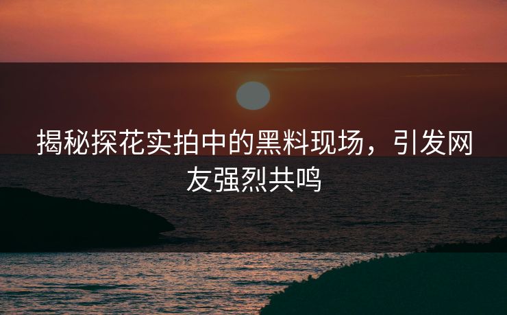 揭秘探花实拍中的黑料现场，引发网友强烈共鸣
