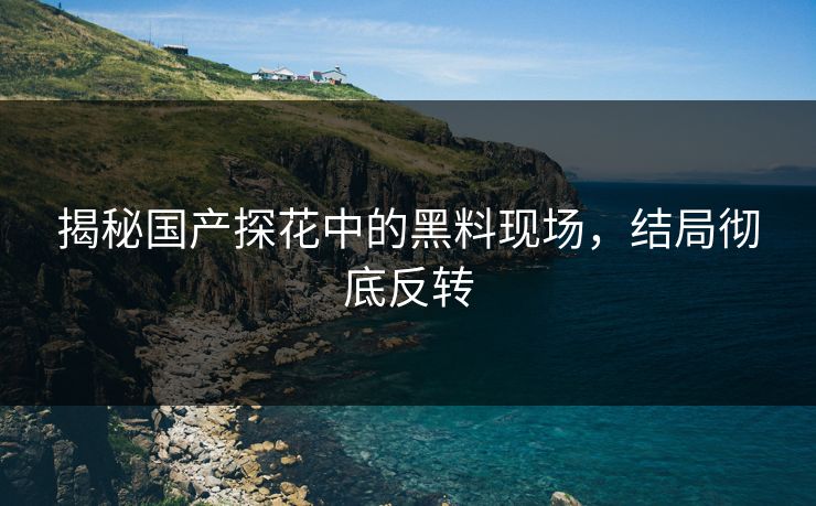 揭秘国产探花中的黑料现场，结局彻底反转