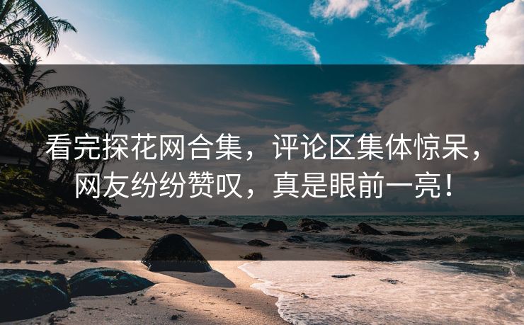 看完探花网合集，评论区集体惊呆，网友纷纷赞叹，真是眼前一亮！