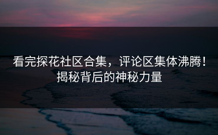 看完探花社区合集，评论区集体沸腾！揭秘背后的神秘力量