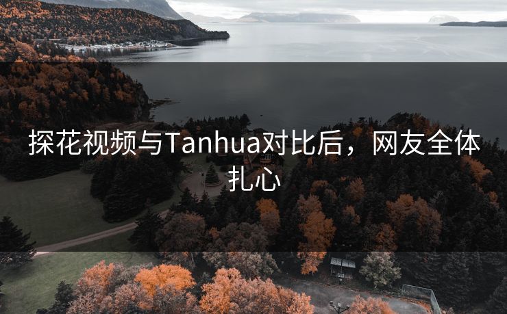 探花视频与Tanhua对比后，网友全体扎心