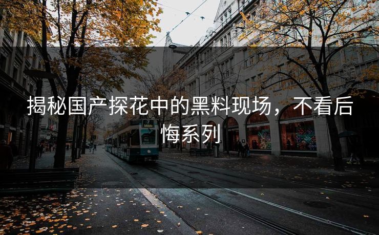 揭秘国产探花中的黑料现场，不看后悔系列