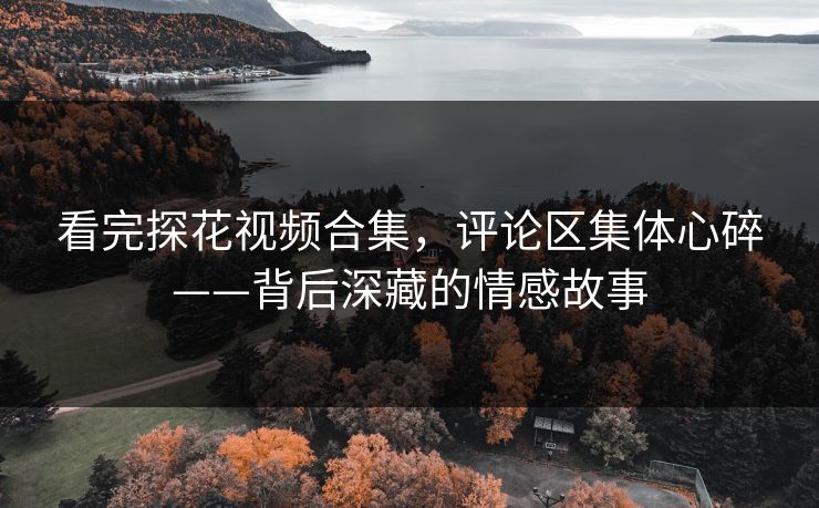 看完探花视频合集，评论区集体心碎——背后深藏的情感故事