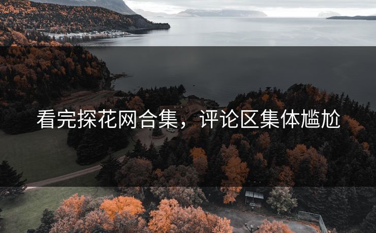 看完探花网合集，评论区集体尴尬