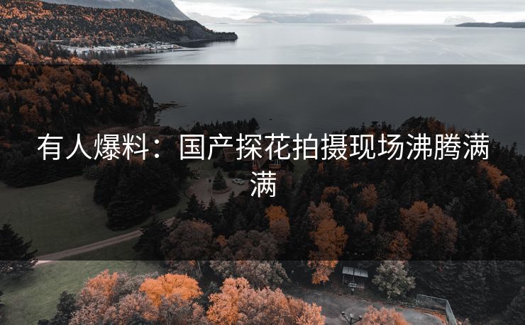 有人爆料：国产探花拍摄现场沸腾满满
