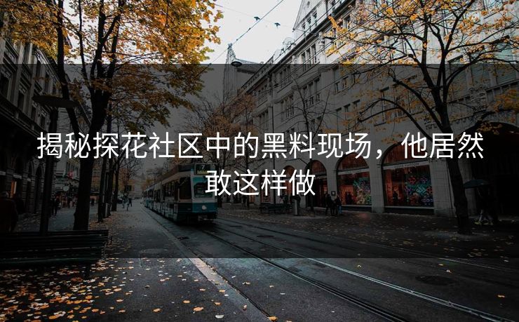 揭秘探花社区中的黑料现场，他居然敢这样做
