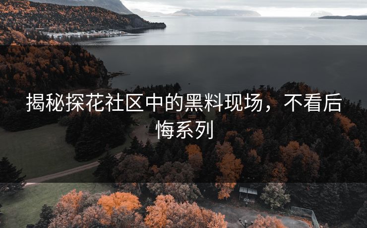 揭秘探花社区中的黑料现场，不看后悔系列