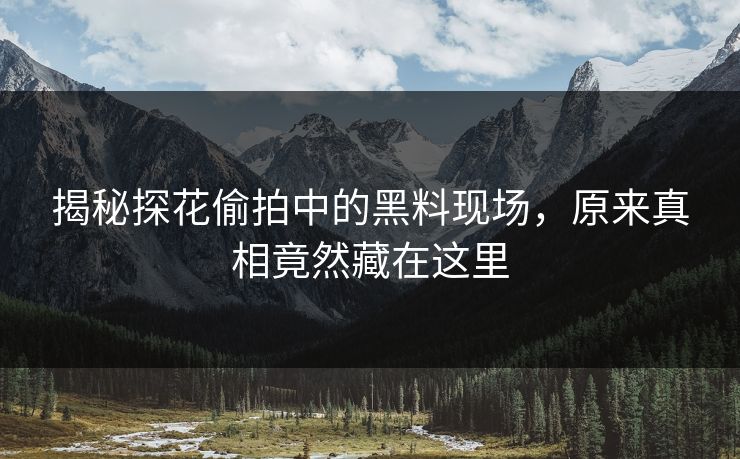 揭秘探花偷拍中的黑料现场，原来真相竟然藏在这里