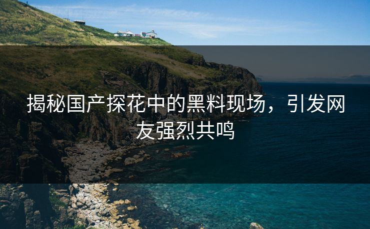 揭秘国产探花中的黑料现场，引发网友强烈共鸣