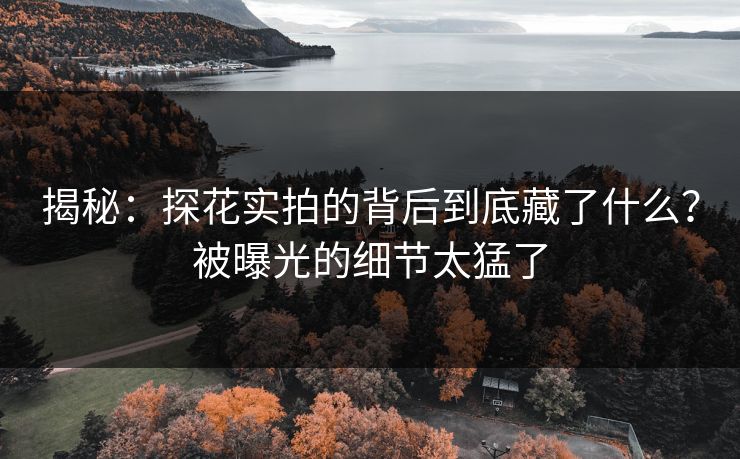 揭秘：探花实拍的背后到底藏了什么？被曝光的细节太猛了