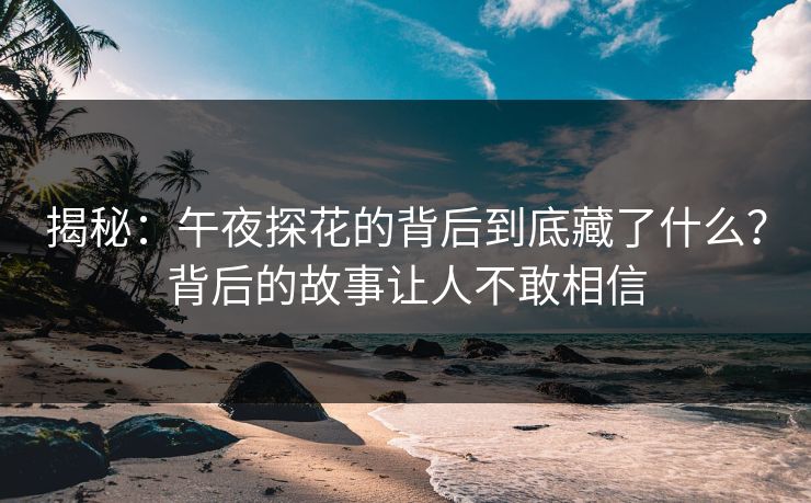 揭秘：午夜探花的背后到底藏了什么？背后的故事让人不敢相信