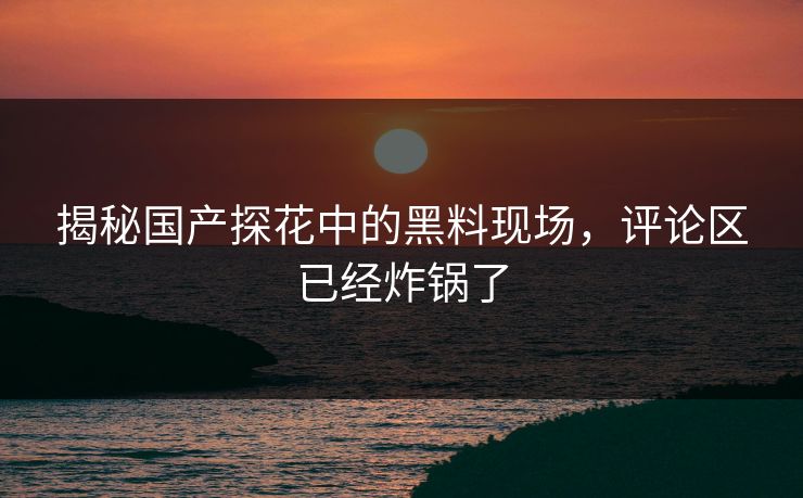 揭秘国产探花中的黑料现场，评论区已经炸锅了
