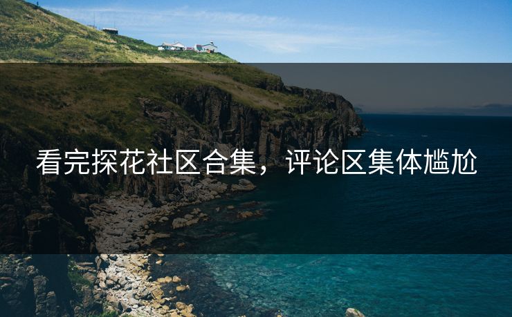 看完探花社区合集，评论区集体尴尬