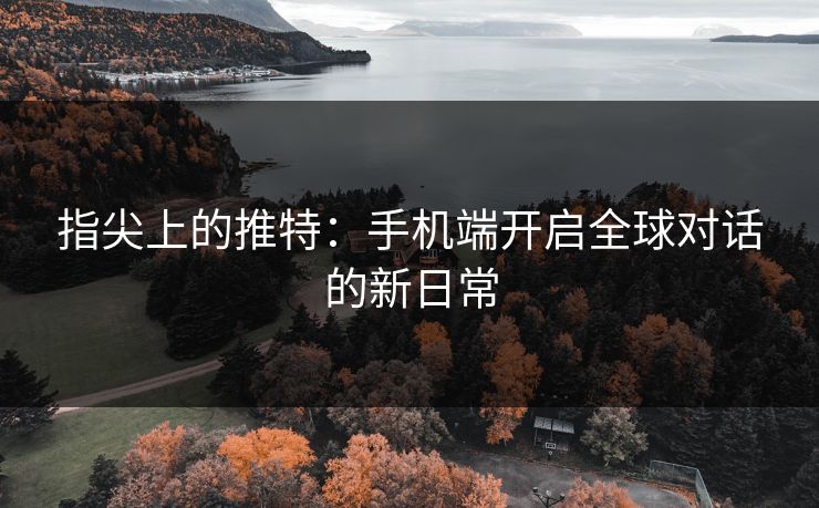 指尖上的推特：手机端开启全球对话的新日常