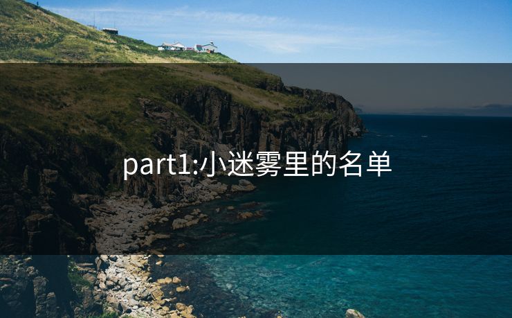 part1:小迷雾里的名单