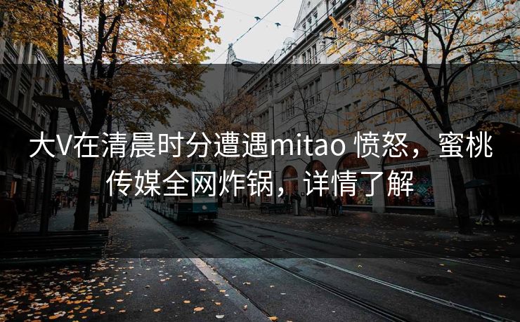 大V在清晨时分遭遇mitao 愤怒,蜜桃传媒全网炸锅,详情了解 大V在清晨时分遭遇mitao 愤怒,蜜桃传媒全网炸锅,详情了解